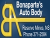 Bonaparte's Auto body graphic
