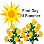 Sun shining down on yellow flowers
